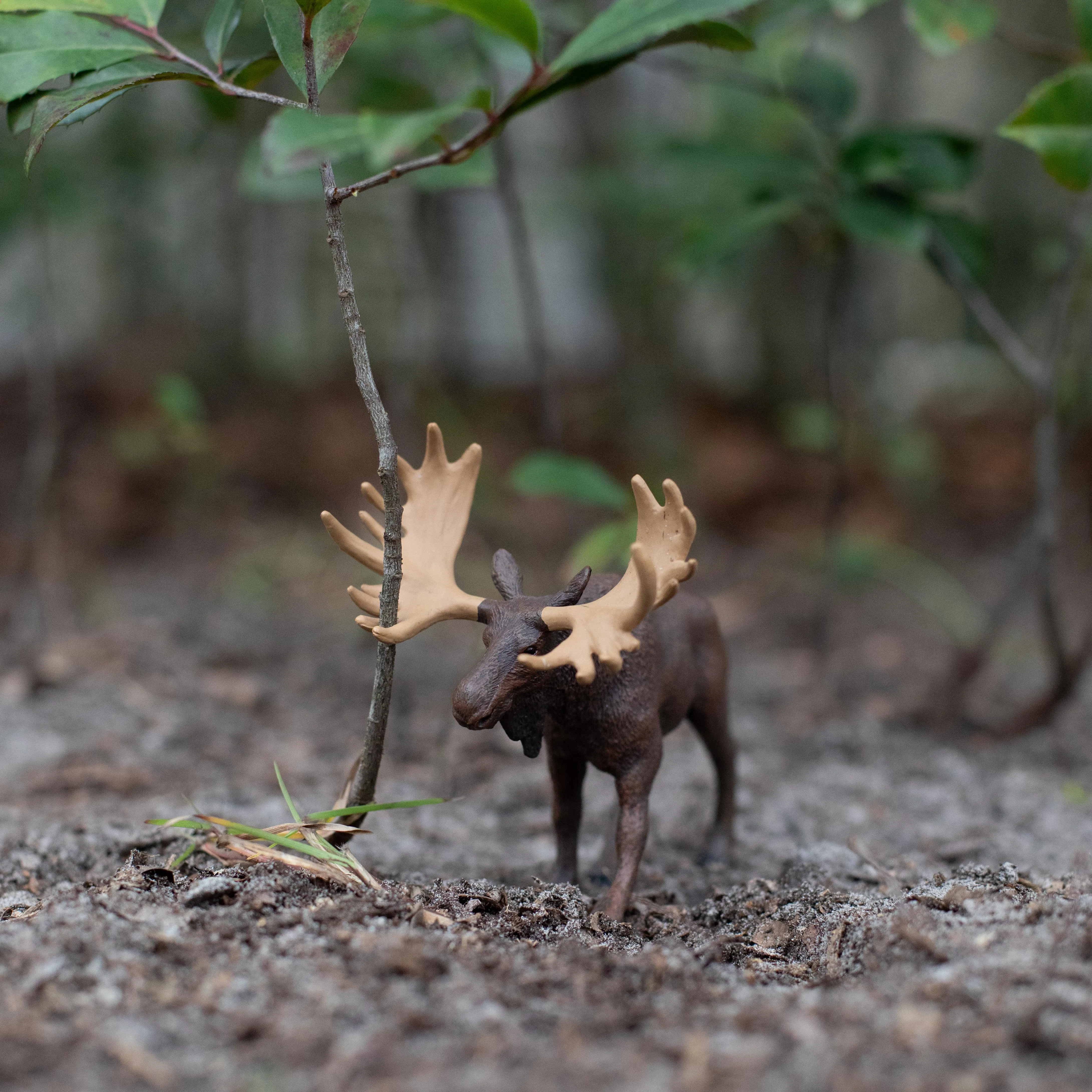 Moose Toy