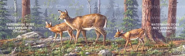 Twin Fawns Rear Window Decal
