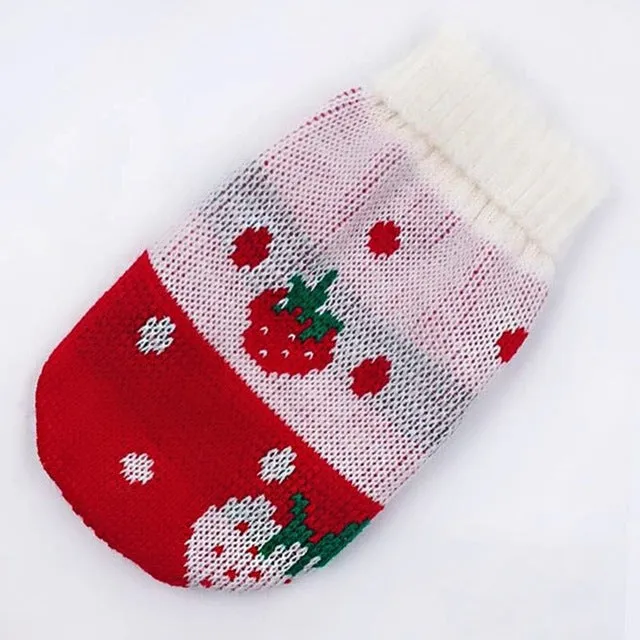 Winter Cartoon Dog Clothes