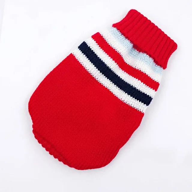 Winter Cartoon Dog Clothes