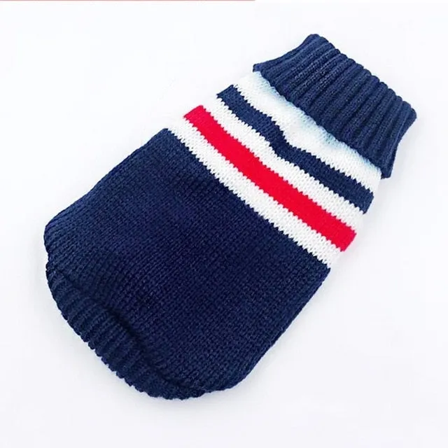 Winter Cartoon Dog Clothes